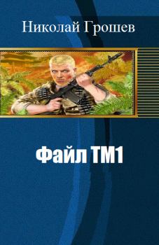 Книга - Файл ТМ1 (СИ). Николай Геннадьевич Грошев - читать в Литвек