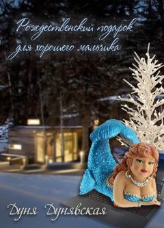 Обложка книги - Рождественский подарок для хорошего мальчика (СИ) - Дуня Дунявская