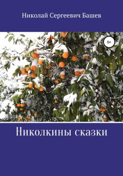 Книга - Николкины сказки. Николай Сергеевич Башев - читать в Литвек
