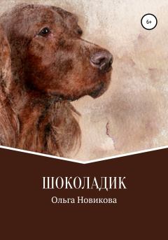 Книга - Шоколадик. Ольга Николаевна Новикова - читать в Литвек
