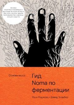 Обложка книги - Гид по ферментации от Noma - Дэвид Зильбер