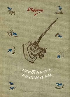 Обложка книги - Охотничьи рассказы - Евгений Иванович Чарушин