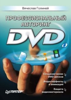 Книга - Профессиональный авторинг DVD. Вячеслав Голиней - читать в Литвек