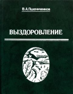 Книга - Выздоровление. Владимир Анатольевич Пшеничников - читать в ЛитВек
