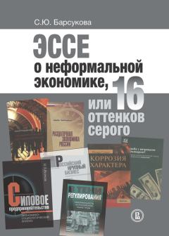 Книга - Эссе о неформальной экономике, или 16 оттенков серого. Светлана Юрьевна Барсукова - читать в Литвек