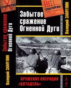 Книга - Забытое сражение Огненной Дуги. Валерий Николаевич Замулин - читать в Литвек