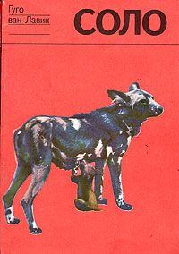 Обложка книги - Соло. История щенка гиеновой собаки - Джейн Ван Лавик-Гудолл
