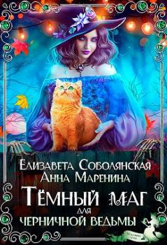 Обложка книги - Темный маг для Черничной ведьмы - Елизавета Владимировна Соболянская
