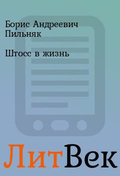 Обложка книги - Штосс в жизнь - Борис Андреевич Пильняк