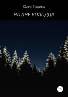 Обложка книги - На дне колодца - Юлия Николаевна Горина