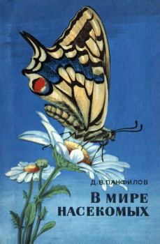 Обложка книги - В мире насекомых - Дмитрий Викторович Панфилов