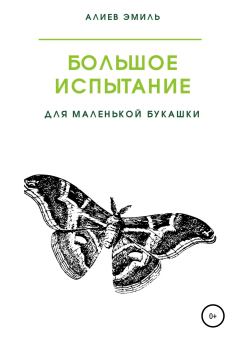 Обложка книги - Большое испытание для маленькой букашки - Эмиль Алиев
