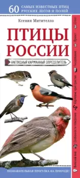 Обложка книги - Птицы России. Наглядный карманный определитель - Ксения Митителло