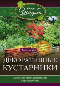 Обложка книги - Декоративные кустарники - Анна Зорина