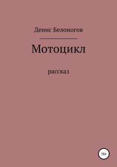 Книга - Мотоцикл. Денис Викторович Белоногов - прочитать в Литвек