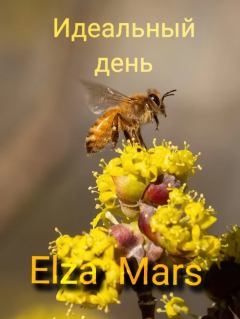 Книга - Идеальный день (СИ).   (Elza Mars) - читать в ЛитВек