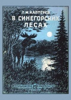 Книга - В синегорских лесах. Леонид Михайлович Каптерев - читать в Литвек