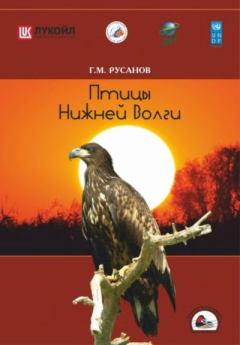Обложка книги - Птицы Нижней Волги - Герман Михайлович Русанов