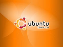 Книга - Ubuntu Linux: базовый курс. Дмитрий Котенок - читать в Литвек