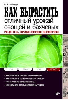 Обложка книги - Как вырастить отличный урожай овощей и бахчевых. Рецепты, проверенные временем - Павел Николаевич Штейнберг