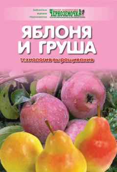 Обложка книги - Яблоня и груша. Технология выращивания - А Б Панкратова