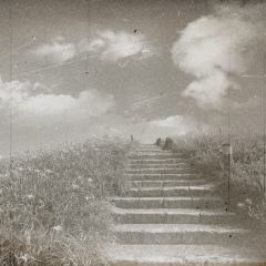Обложка книги - Лестница в небо - Кирш Ли