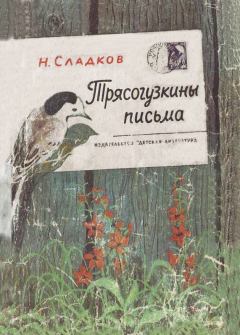 Обложка книги - Трясогузкины письма - Николай Иванович Сладков