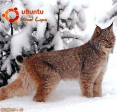 Обложка книги - Руководство по переходу на Ubuntu 10.04 LTS «Lucid Lynx» - Вадим Неворотин