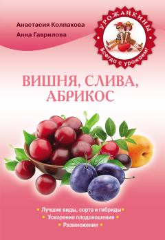 Обложка книги - Вишня, слива, абрикос - Анна Сергеевна Гаврилова