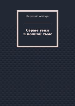 Обложка книги - Серые тени в ночной тьме - Виталий Васильевич Полищук