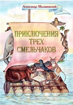Книга - Приключения трех смельчаков. Александр Станиславович Малиновский - прочитать в Литвек