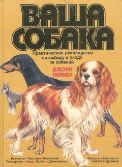 Обложка книги - Ваша собака. Практическое руководство по выбору и уходу за собакой - Джоан Палмер