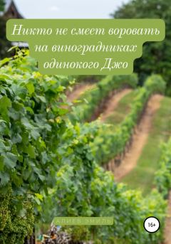 Обложка книги - Никто не смеет воровать на виноградниках одинокого Джо - Эмиль Алиев