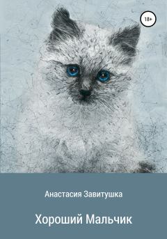 Обложка книги - Хороший мальчик - Анастасия Завитушка