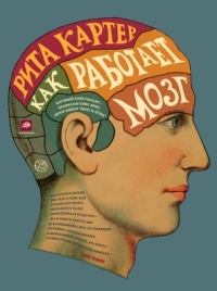 Обложка книги - Как работает мозг - Рита Картер