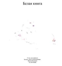 Обложка книги - Белая книга - Виктор Васильев