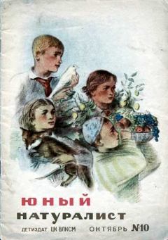 Обложка книги - Юный натуралист 1938 №10 - Журнал «Юный натуралист»