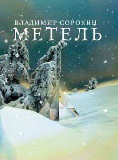 Обложка книги - Метель - Владимир Георгиевич Сорокин