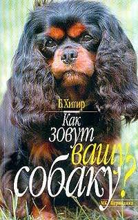 Обложка книги - Как зовут вашу собаку - Борис Хигир
