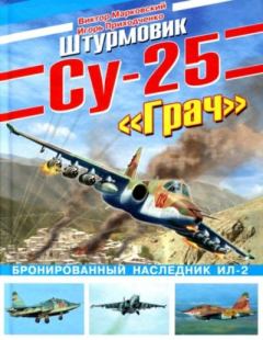 Книга - Су-25 "Грач". Бронированный наследник Ил-2. Виктор Юрьевич Марковский - прочитать в Литвек