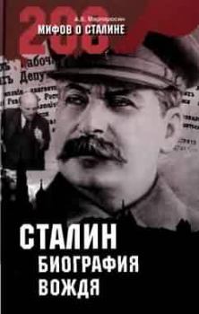 Обложка книги - Сталин: биография вождя - Арсен Беникович Мартиросян