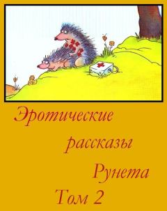 Книга - Эротические рассказы Рунета - Том 2.  Эротические рассказы Рунета - читать в ЛитВек