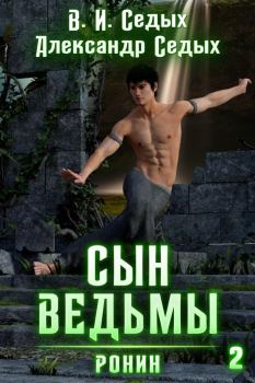 Обложка книги - Ронин - Вячеслав И Седых