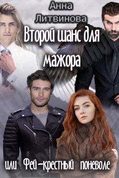 Обложка книги - Второй шанс для мажора или Фей-крестный поневоле - Анна и Сергей Литвиновы
