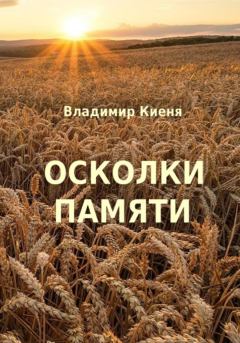 Обложка книги - Осколки памяти - Владимир Александрович Киеня