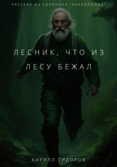 Обложка книги - Лесник, что из лесу бежал - Кирилл Сидоров