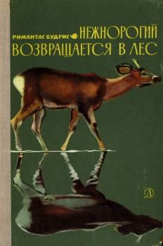 Обложка книги - Нежнорогий возвращается в лес - Римантас Будрис