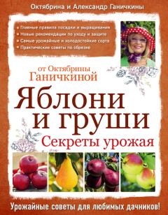 Обложка книги - Яблони и груши: секреты урожая от Октябрины Ганичкиной - Октябрина Алексеевна Ганичкина