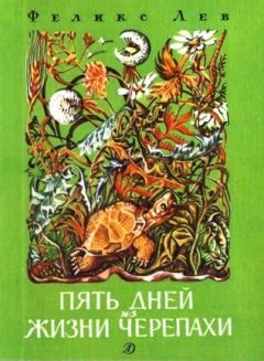 Книга - Пять дней из жизни черепахи  . Феликс Григорьевич Лев - прочитать в Литвек