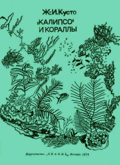 Книга - «Калипсо» и кораллы. Жак-Ив Кусто - прочитать в Литвек